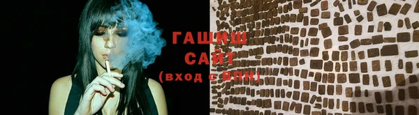 молекула духа Каменка