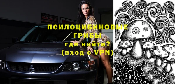 молекула духа Каменка