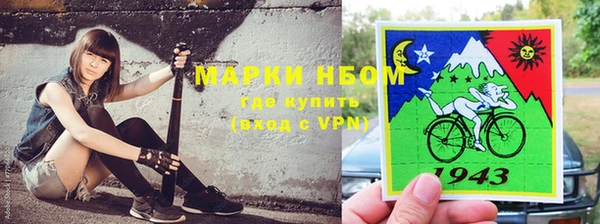 молекула духа Каменск-Шахтинский
