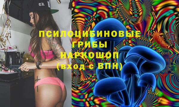 молекула духа Каменск-Шахтинский
