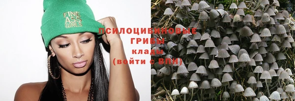 молекула духа Каменск-Шахтинский