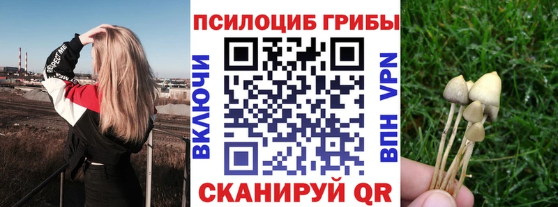 Купить  Катав-Ивановск  Псилоцибиновые грибы мухоморы 